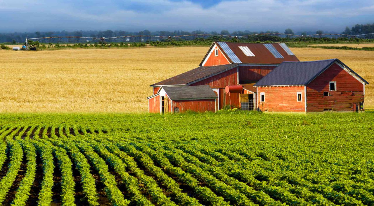 contact us us for soybean fertilizer