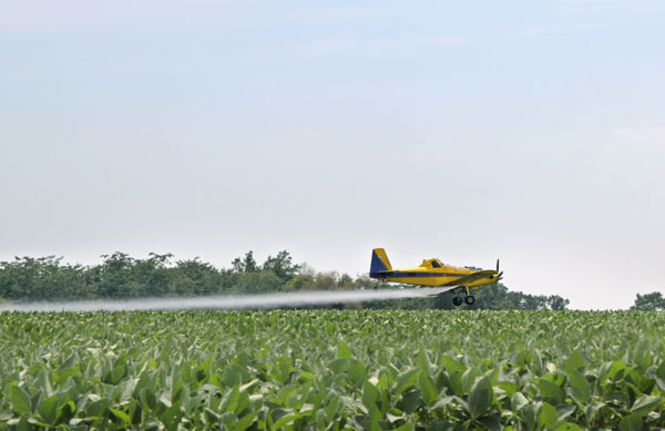 Foliar Fertilizers And Starter Fertilizers Foliar Fertilizers And Starter Fertilizers