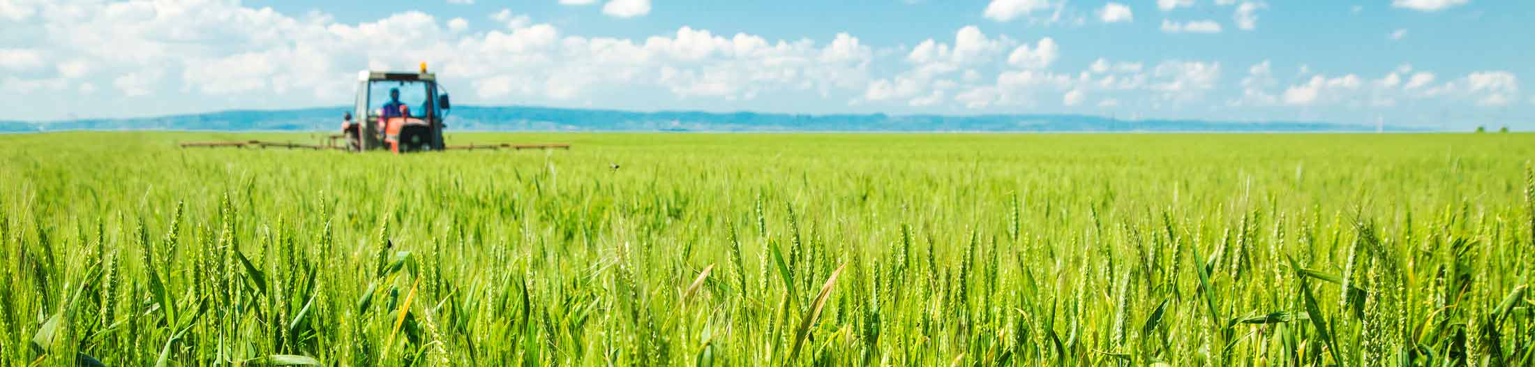 2200-wheat-field-with-tractor-best-fertilizer 23-0-0 liquid crop fertilizer