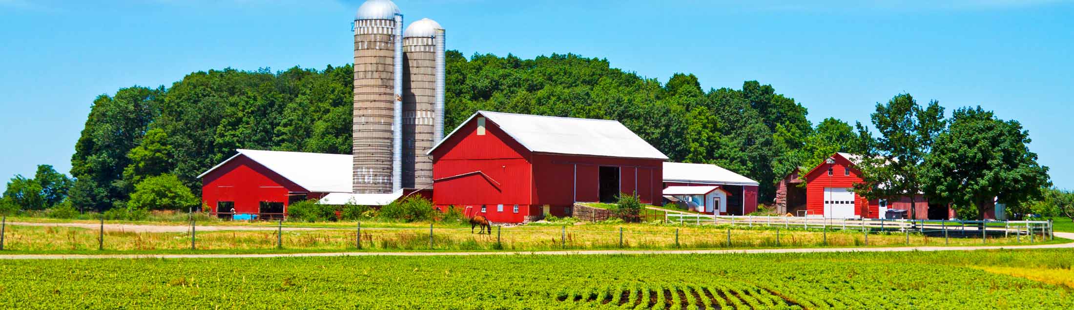 2200-wide-farm-house best soy bean and corn fertilizer